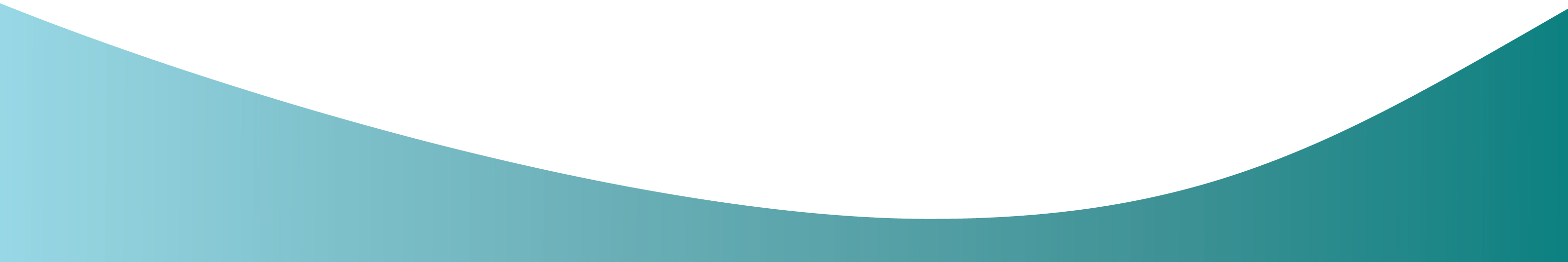 page footer